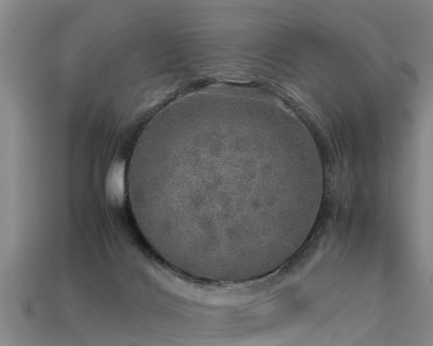 X0000113600028200909251206