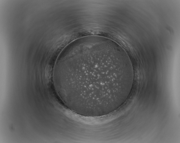 X0000113600030200909251205