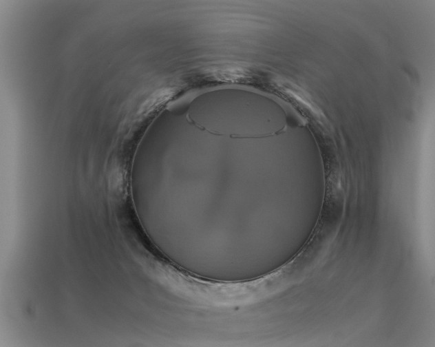 X0000113600031200909251205