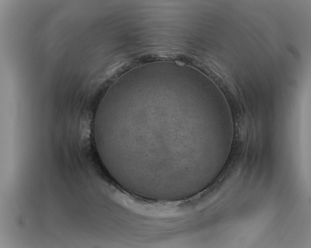 X0000113600032200909251205