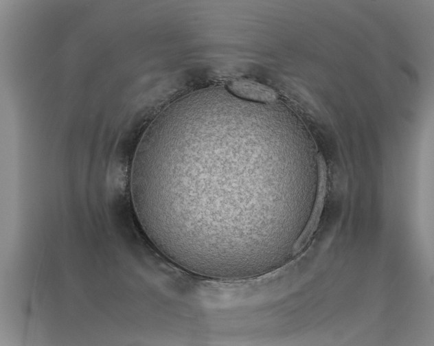 X0000113600033200909251205