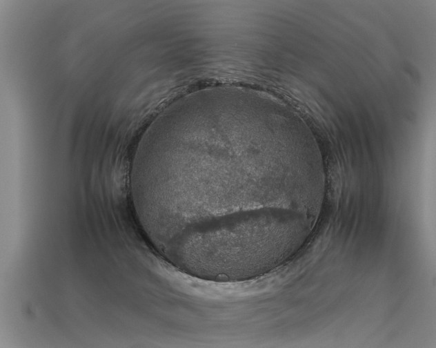 X0000113600034200909251205