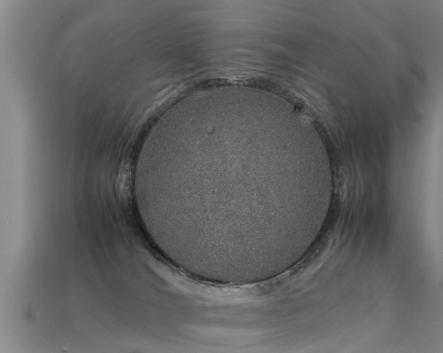 X0000113600036200909251205