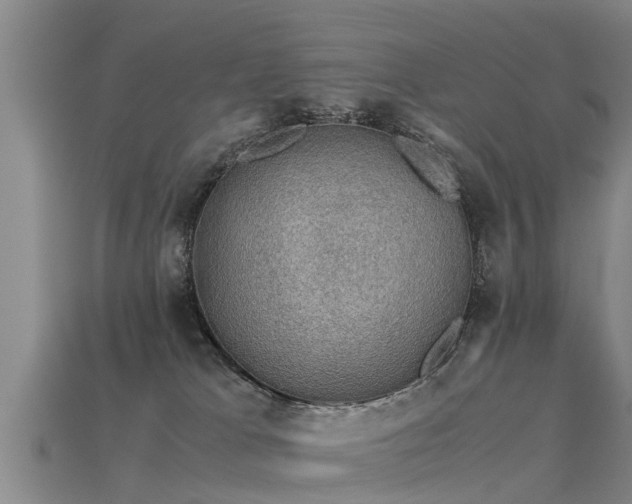 X0000113600037200909251205