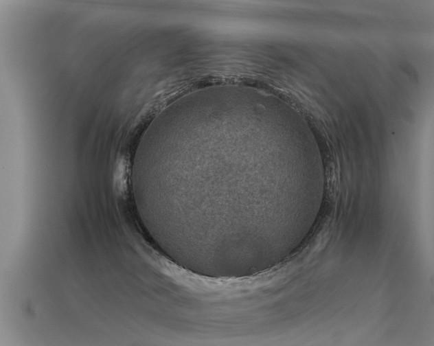 X0000113600038200909251205