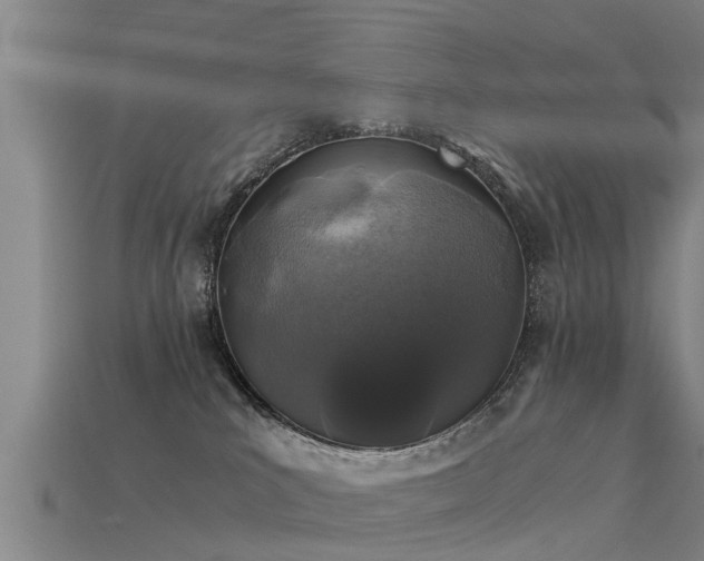 X0000113600039200909251205