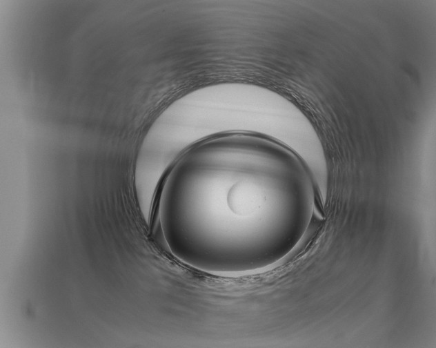 X0000113600041200909251205