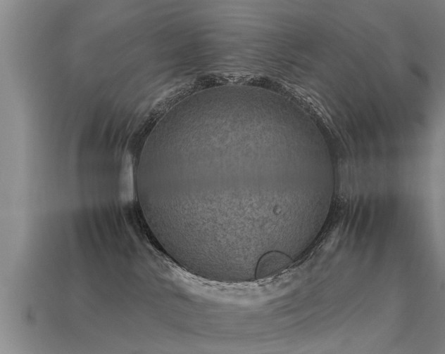 X0000113600042200909251205