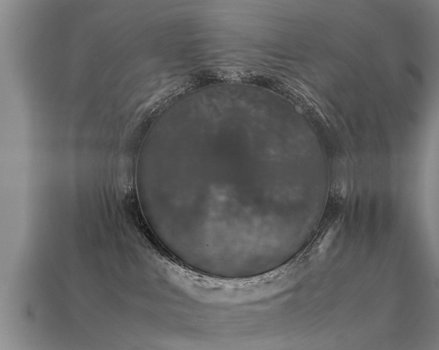 X0000113600043200909251205