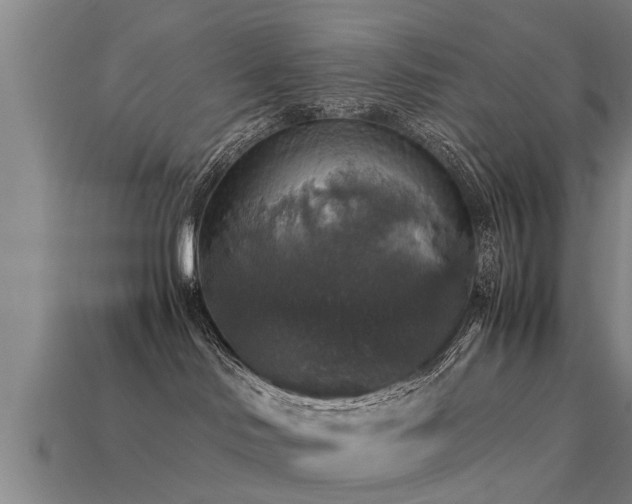 X0000113600046200909251205