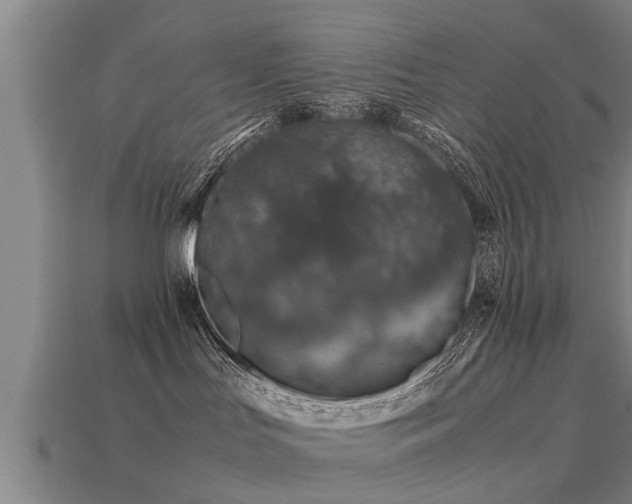 X0000113600047200909251205