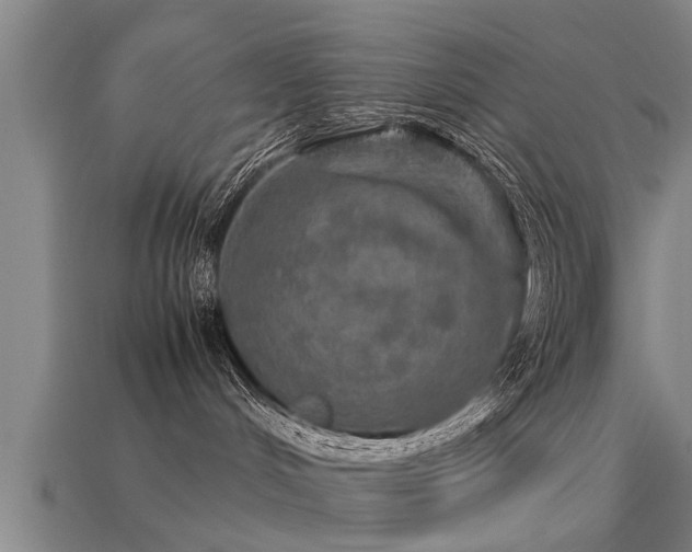 X0000113600048200909251205