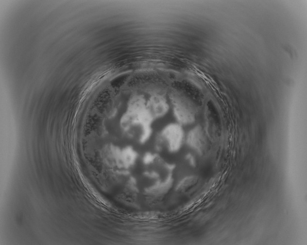 X0000113600049200909251205