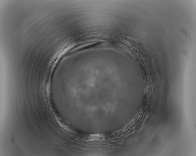 X0000113600050200909251205