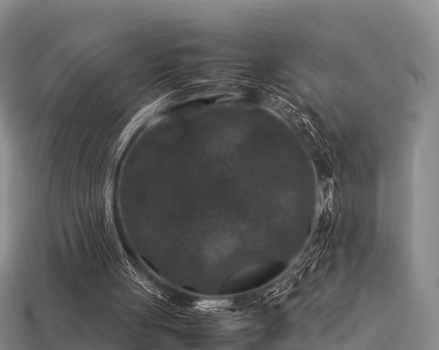 X0000113600051200909251205