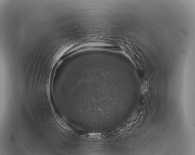 X0000113600052200909251205