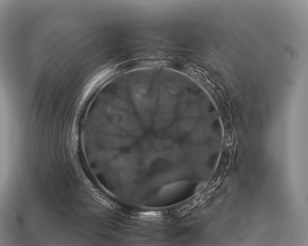 X0000113600053200909251205