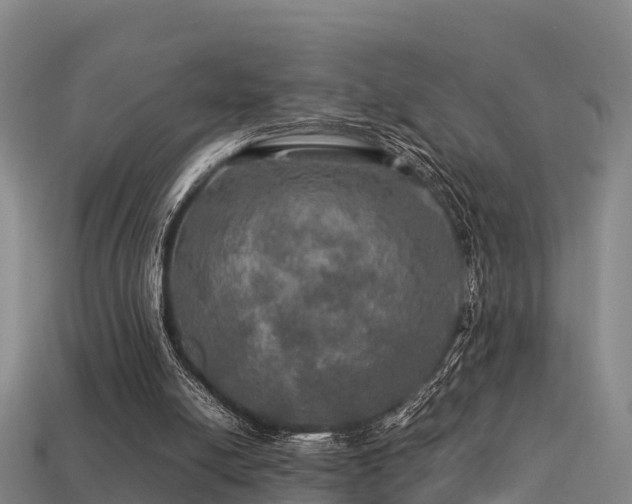 X0000113600054200909251205