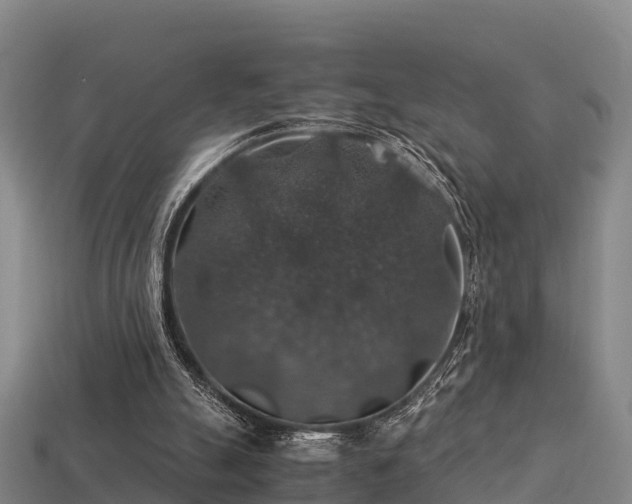 X0000113600055200909251205