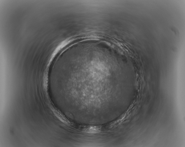 X0000113600056200909251205