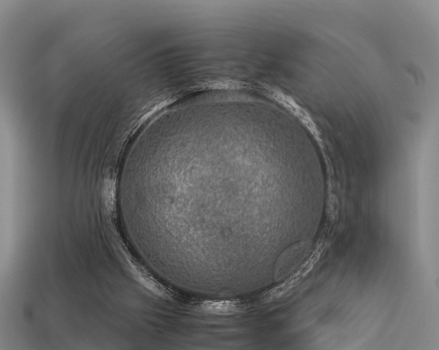 X0000113600057200909251205