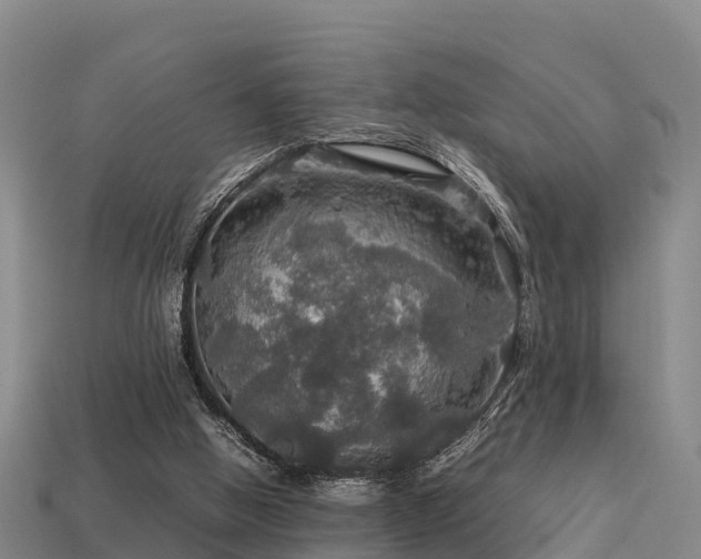 X0000113600058200909251205