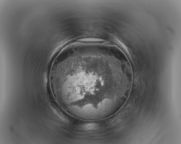 X0000113600059200909251205