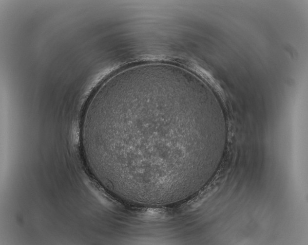 X0000113600060200909251205