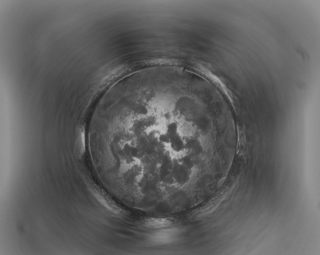 X0000113600061200909251205