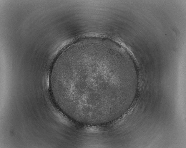 X0000113600062200909251205