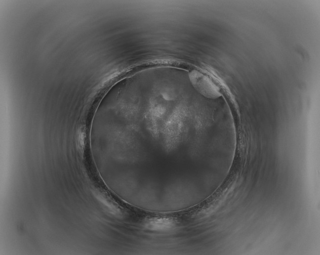 X0000113600063200909251205