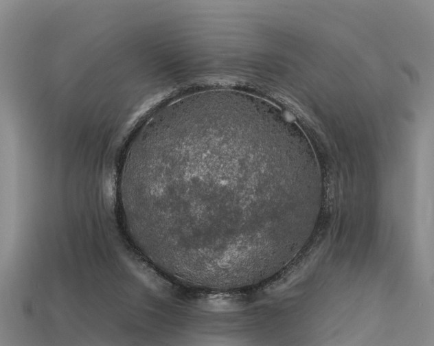 X0000113600064200909251205