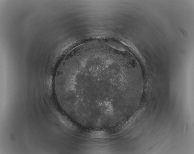 X0000113600066200909251205