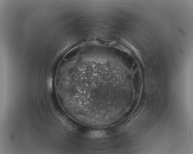 X0000113600067200909251205