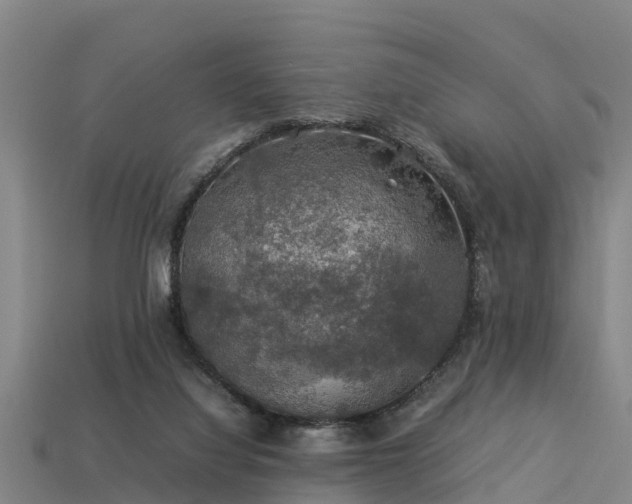 X0000113600068200909251205