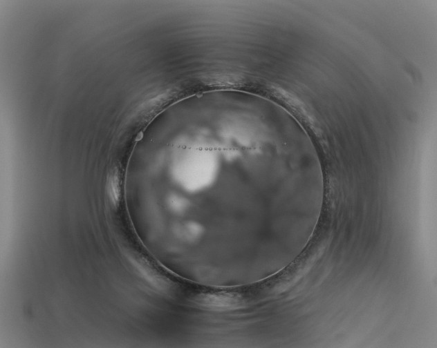 X0000113600069200909251205