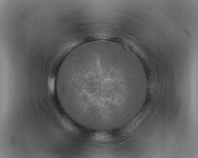 X0000113600070200909251205