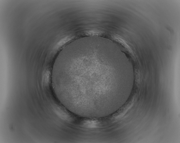 X0000113600071200909251205