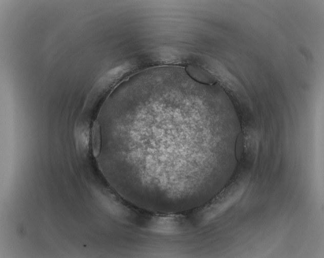 X0000113600072200909251205