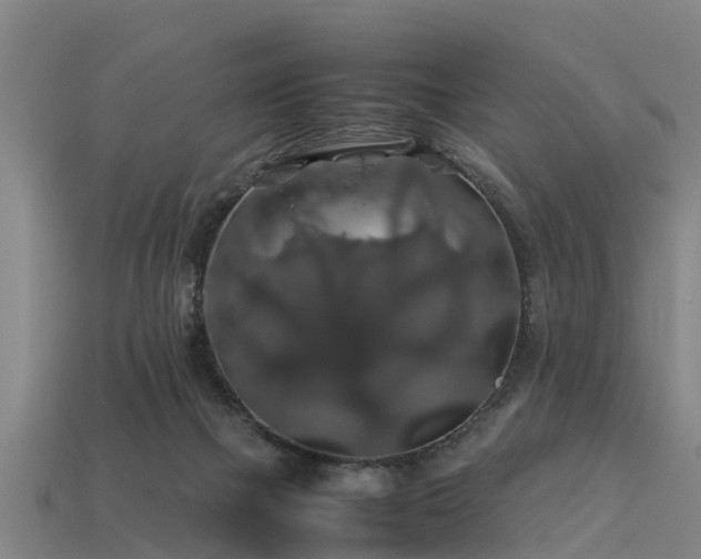 X0000113600073200909251205