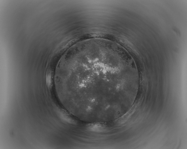 X0000113600074200909251205