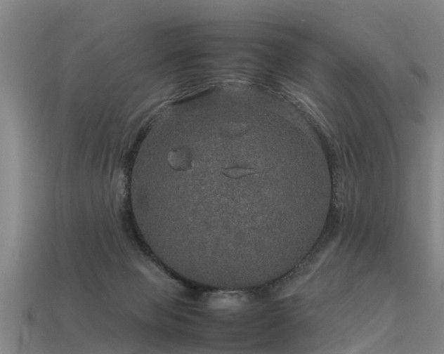 X0000113600077200909251205