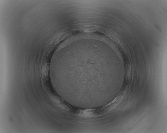 X0000113600078200909251205