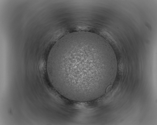 X0000113600079200909251205