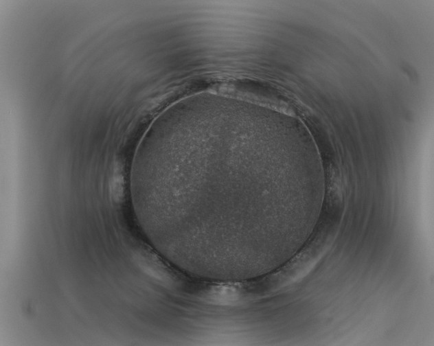 X0000113600080200909251205