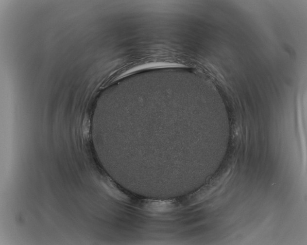 X0000113600081200909251205