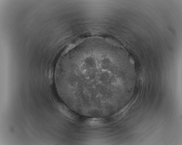 X0000113600082200909251205