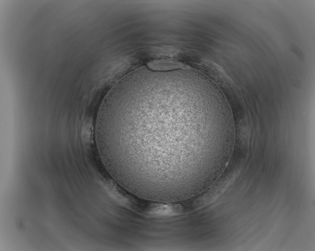 X0000113600083200909251205