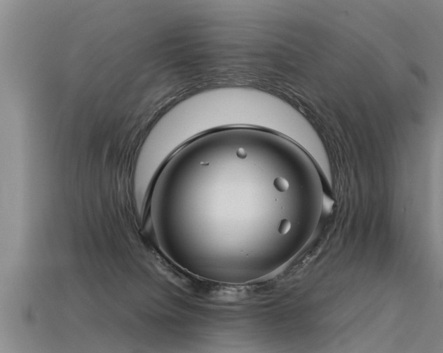 X0000113600084200909251205