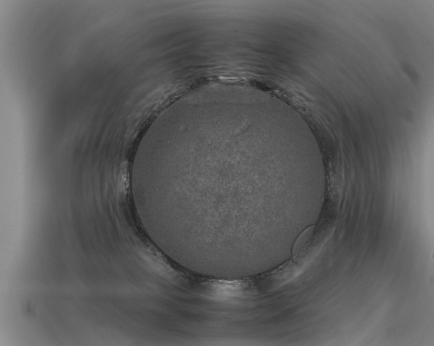 X0000113600085200909251205